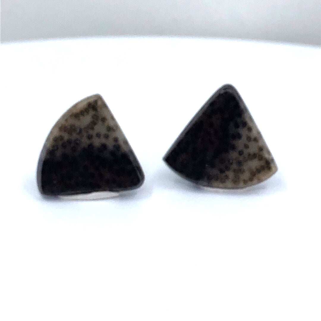 Matching Trillion-Cut Petrified Palm Wood Gemstones – Unique Natural Pair