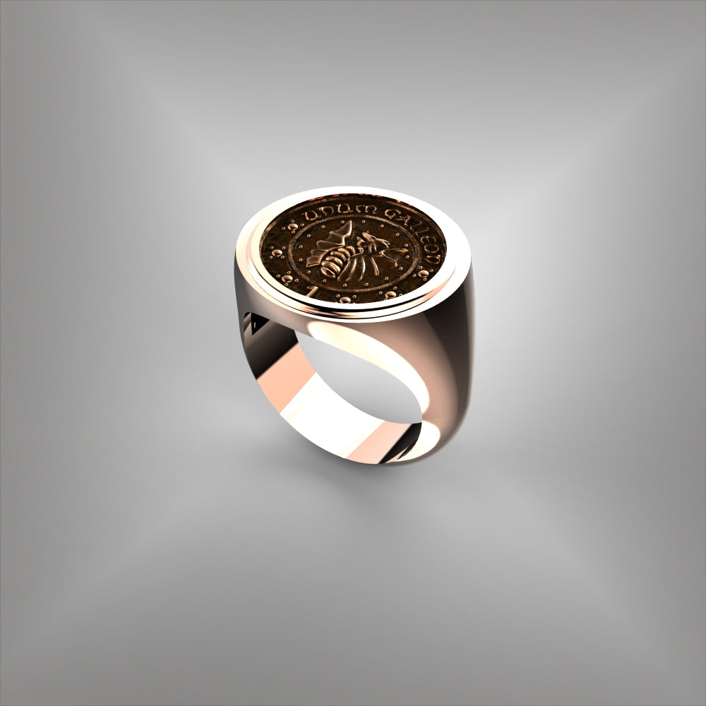 Coin Ring Bezel Set