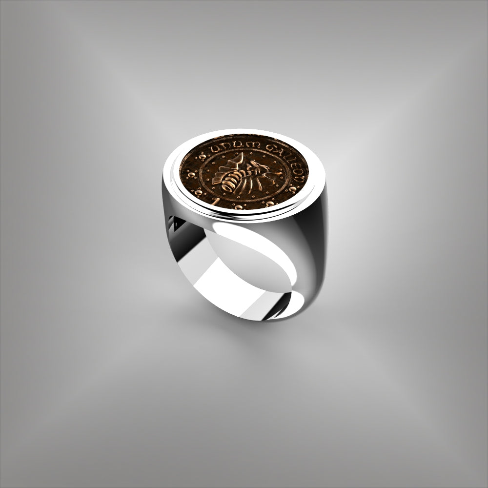 Coin Ring Bezel Set